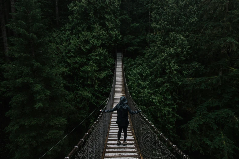 the lone person is walking along a suspended bridge over trees