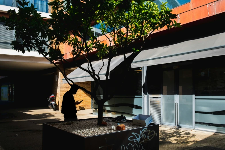 the person stands next to the tree near an apartment building