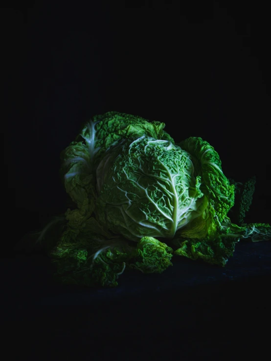 a head of cabbage is sitting still