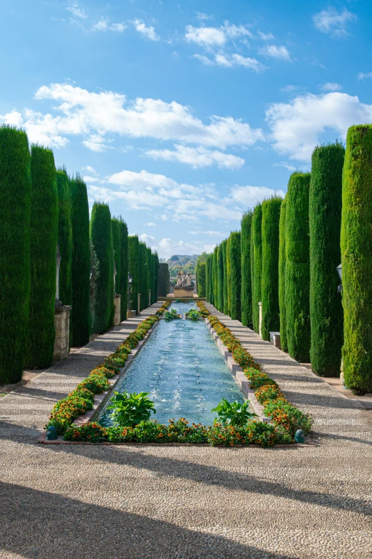 the walkway is lined with rows of trees and flowers, reflecting in the pool