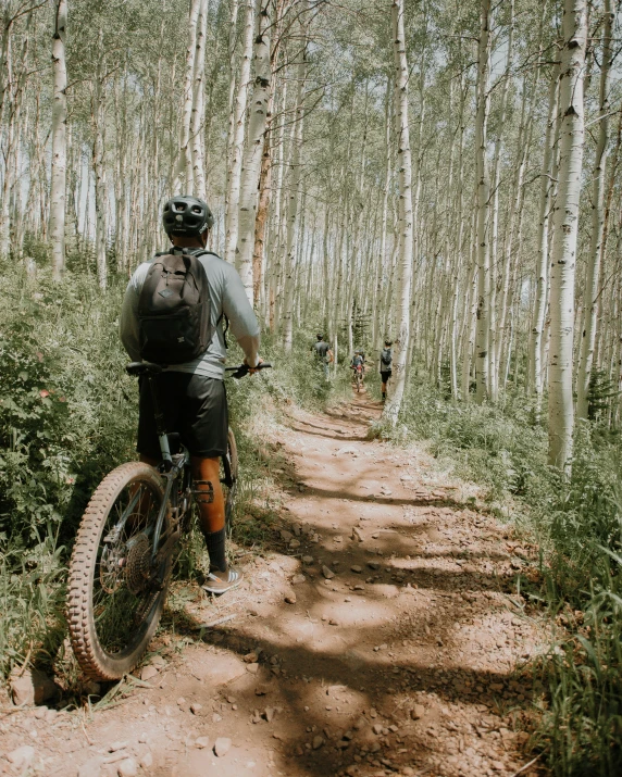 a biker on a dirt road in the woods