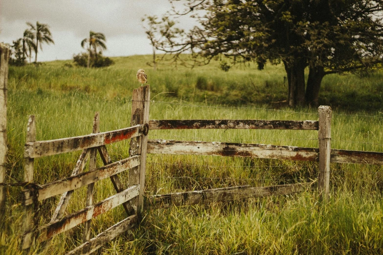 a fence in the middle of a green pasture