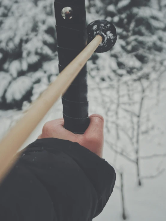 a person's hand holding a long stick next to a tree