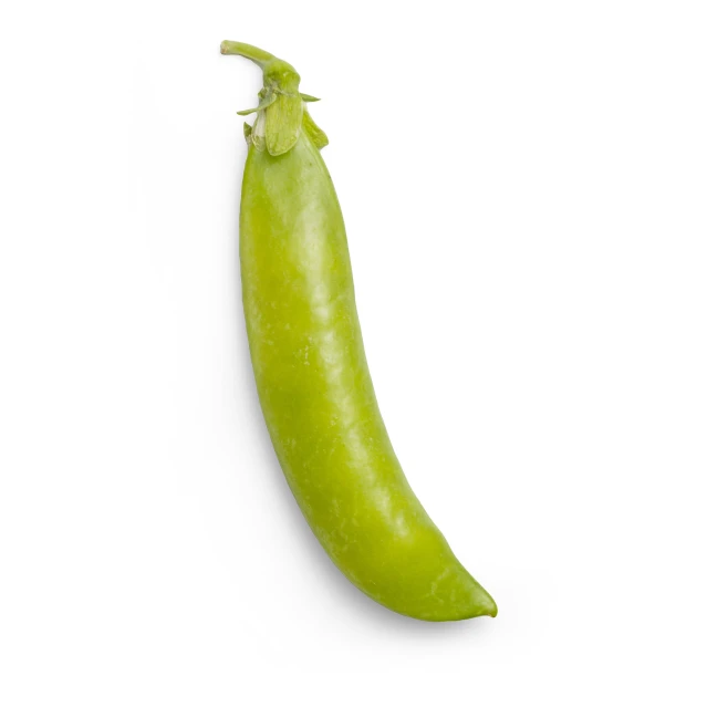 a green pea is sitting on top of a white surface