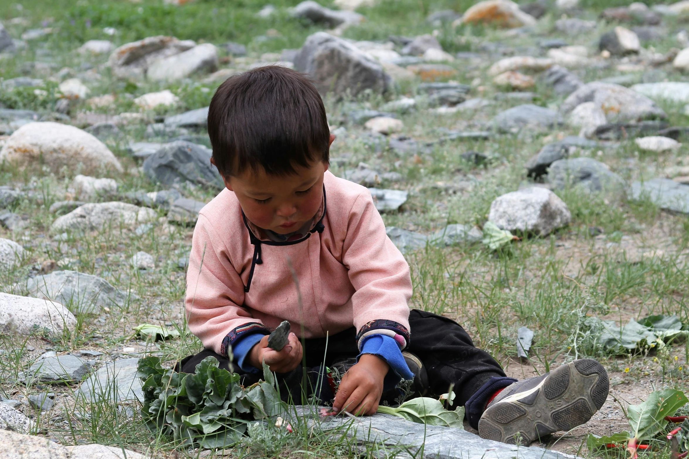 a boy sitting in the grass, wearing a pink shirt and black pants