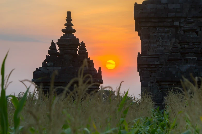 the sun rises over ancient buildings, with tall grass