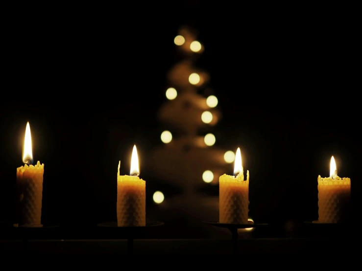 four lit candles with a christmas tree in the background