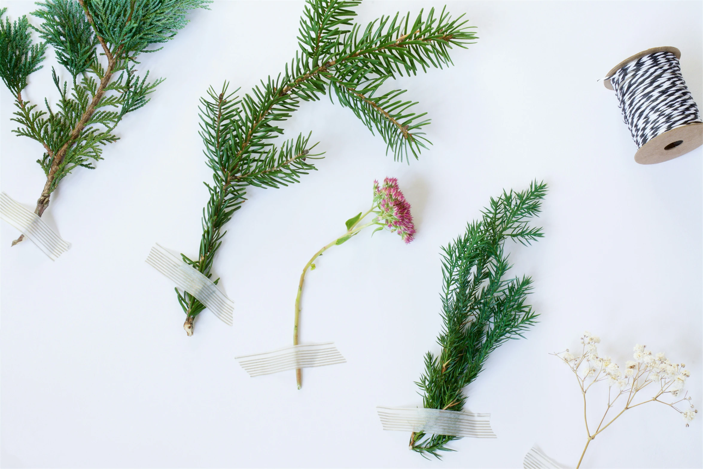 a group of pine needles, some with spools, and small flower stems