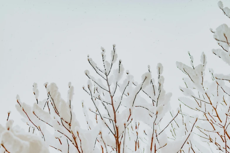 the sky is very white and bright with no clouds