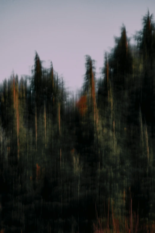 blurry picture of trees and some water