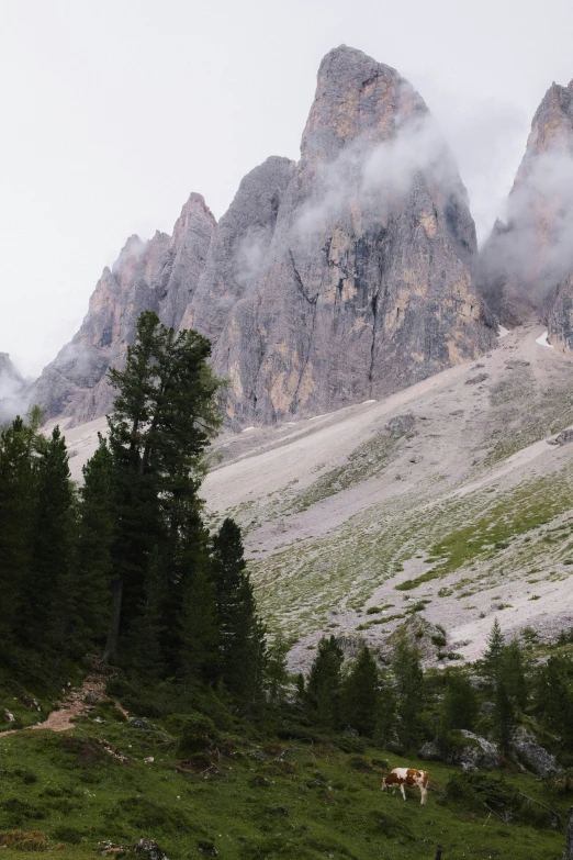 some very pretty mountains covered with lots of clouds