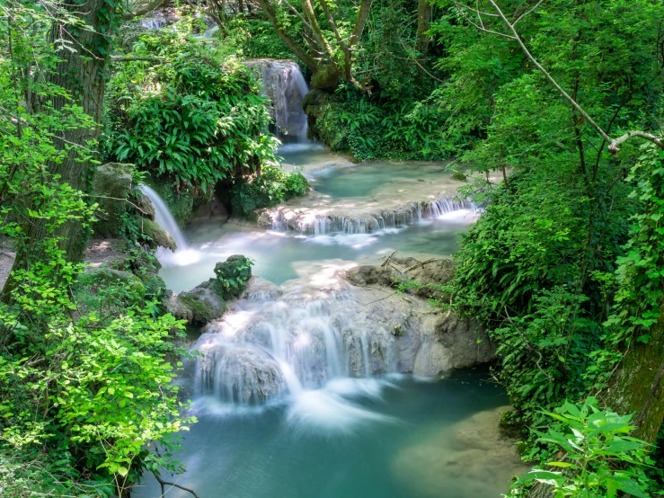 a small waterfall surrounded by lush green vegetation