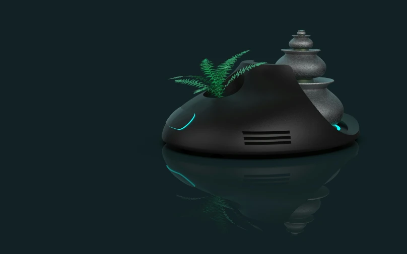 a very strange looking black object with some plants inside