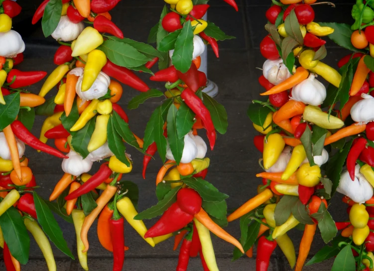 a bunch of fake peppers arranged in rows