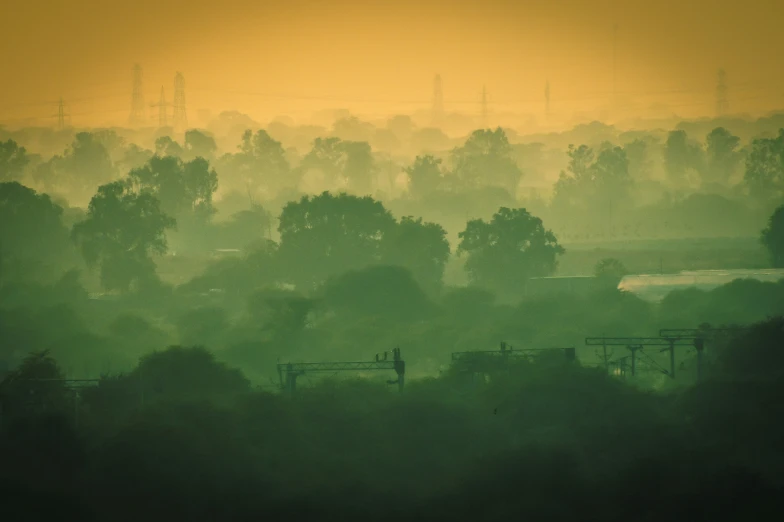 a foggy, green, city skyline in the distance