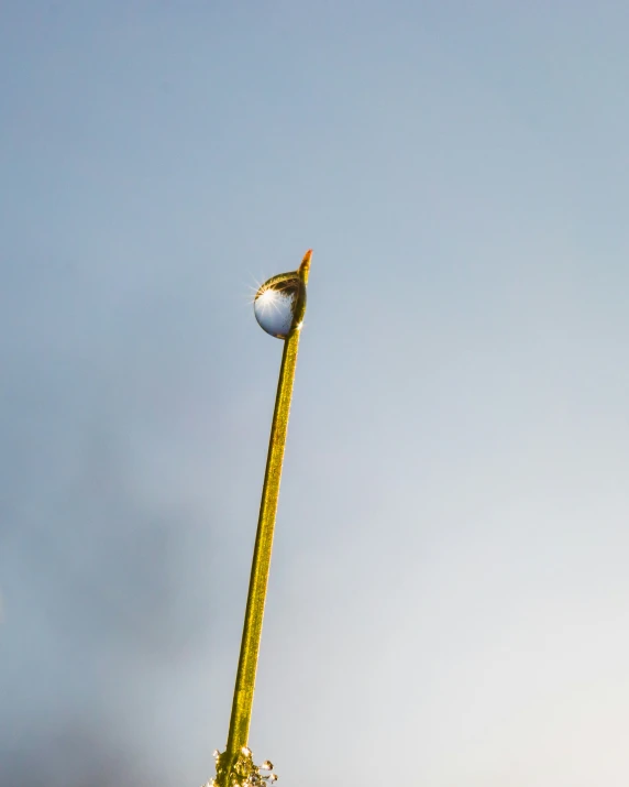 a street light pole with a blue sky behind it