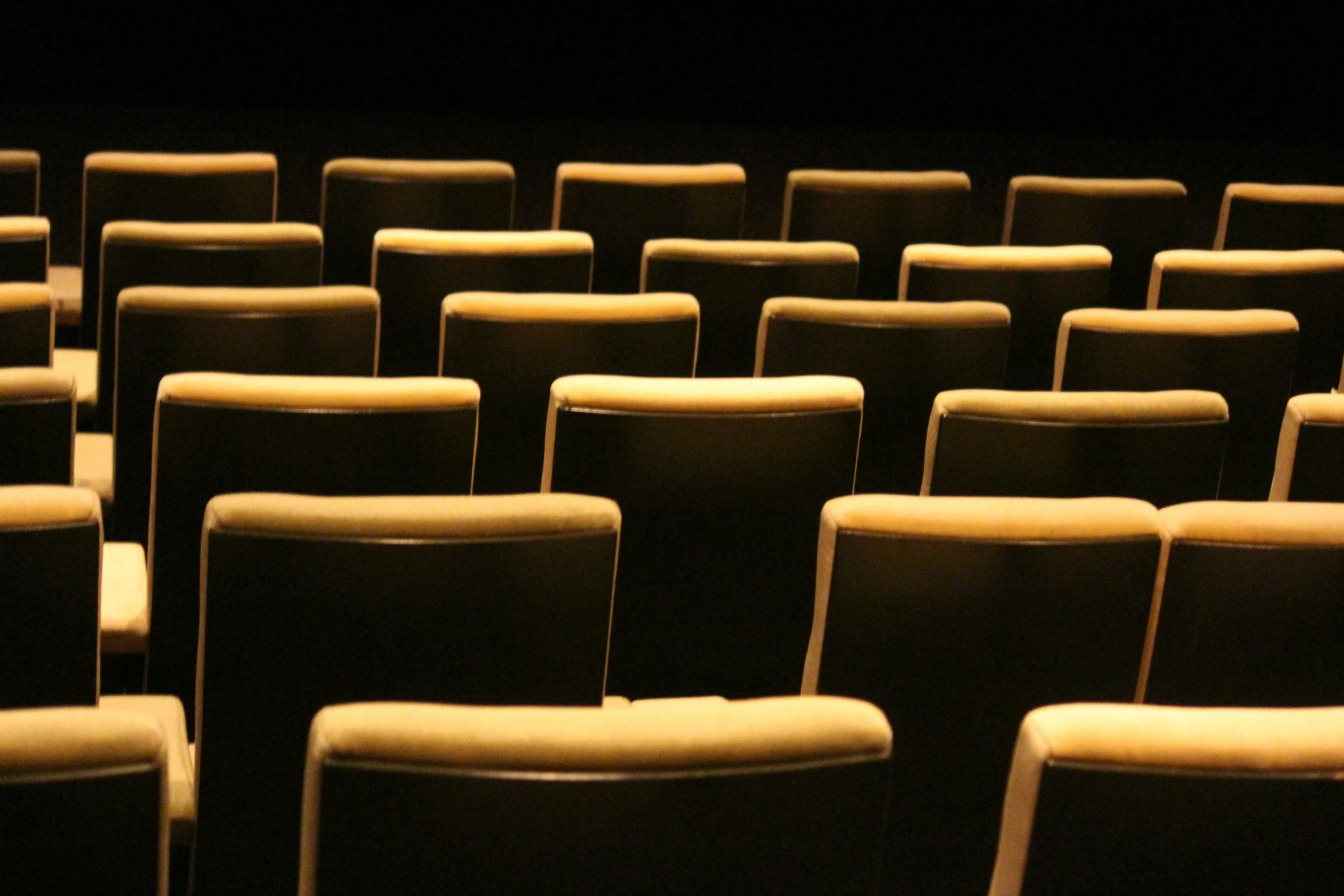 rows of chairs sit in an empty auditorium