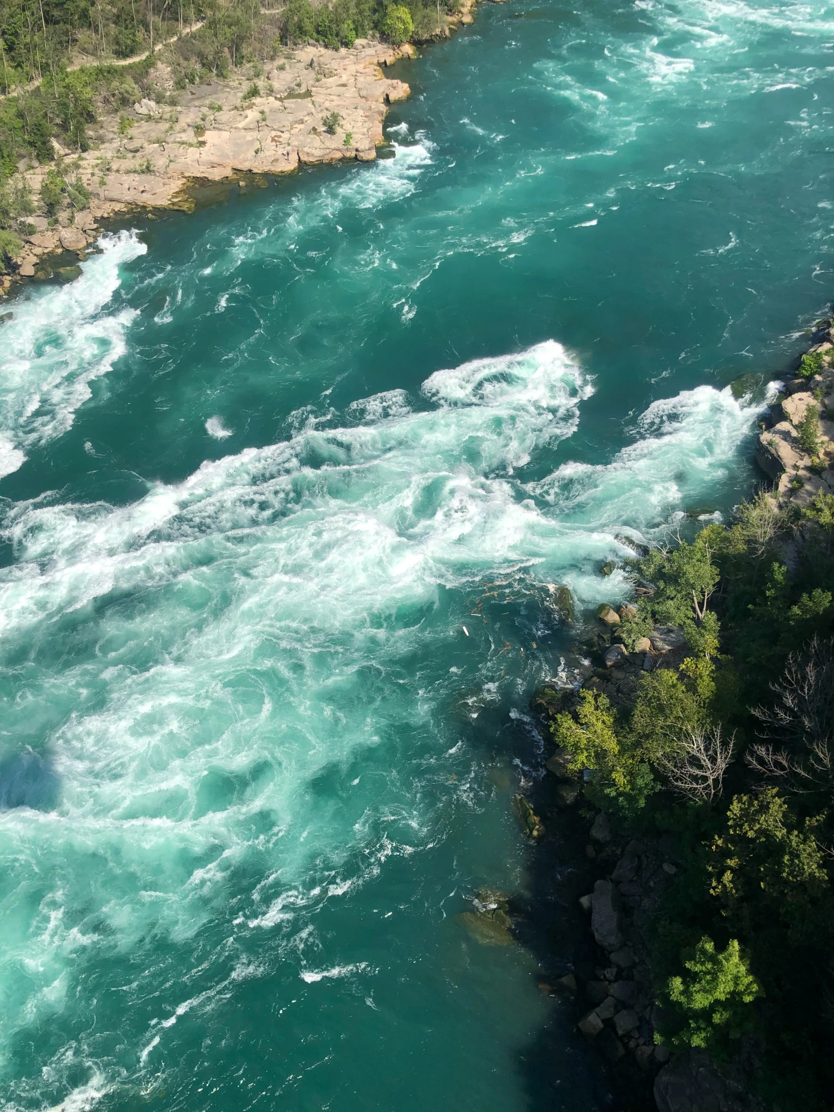 flowing waters along an area in the woods