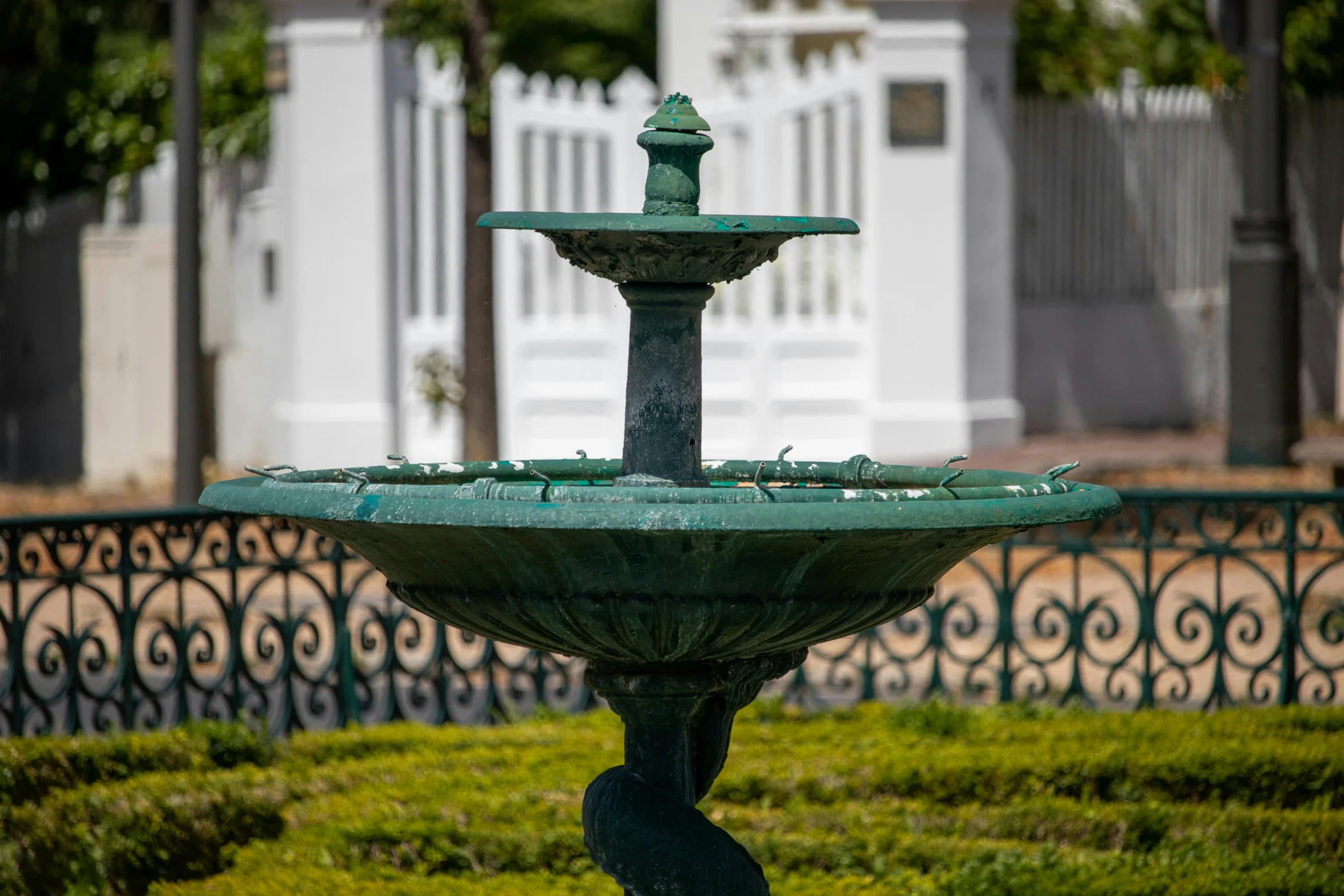 a fountain in the center of a green garden