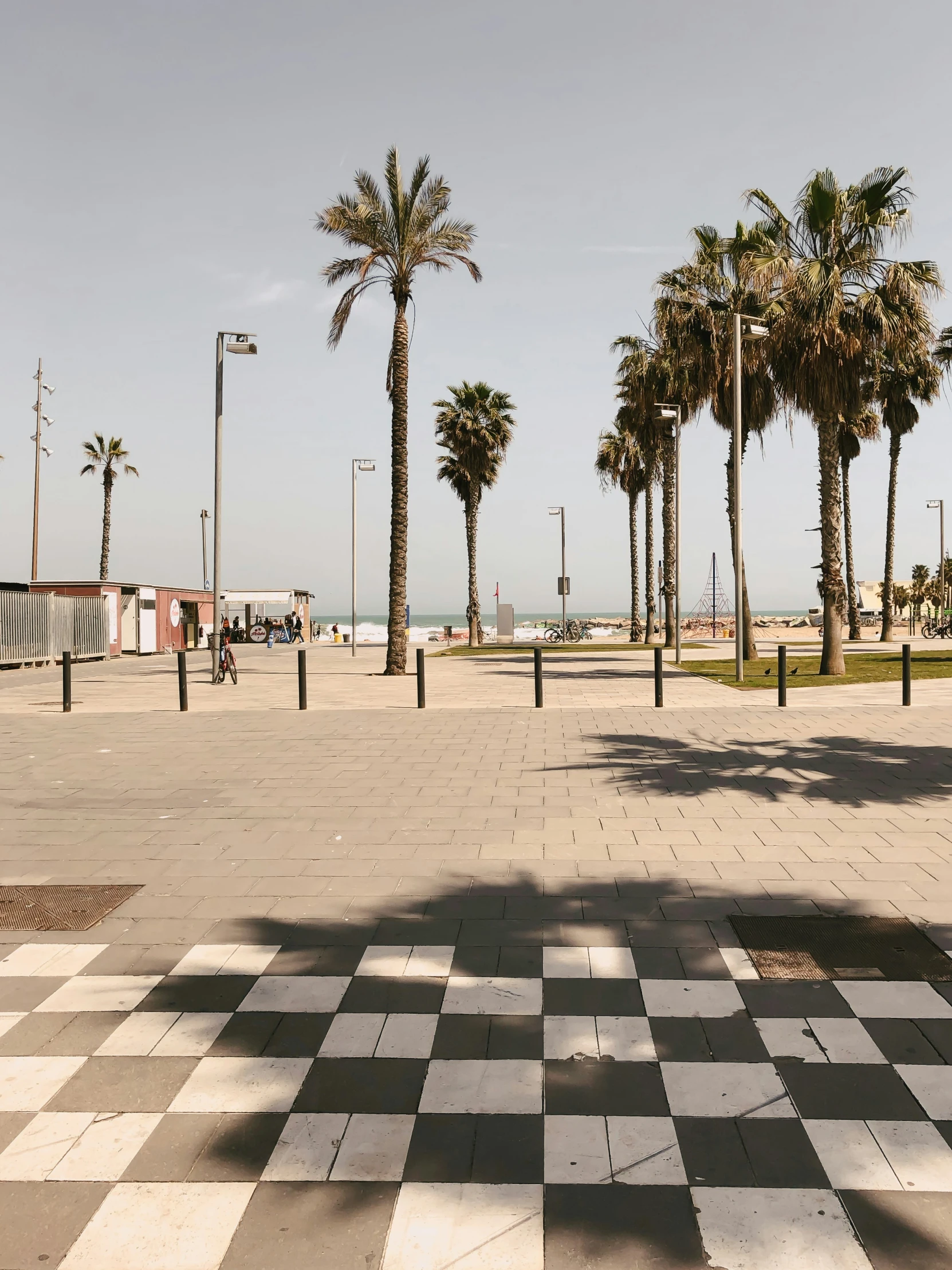 several palm trees in the background on an empty lot