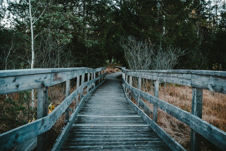 a bridge that is crossing through some woods