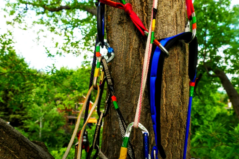 multi colored ropes hanging from a tree in a forest