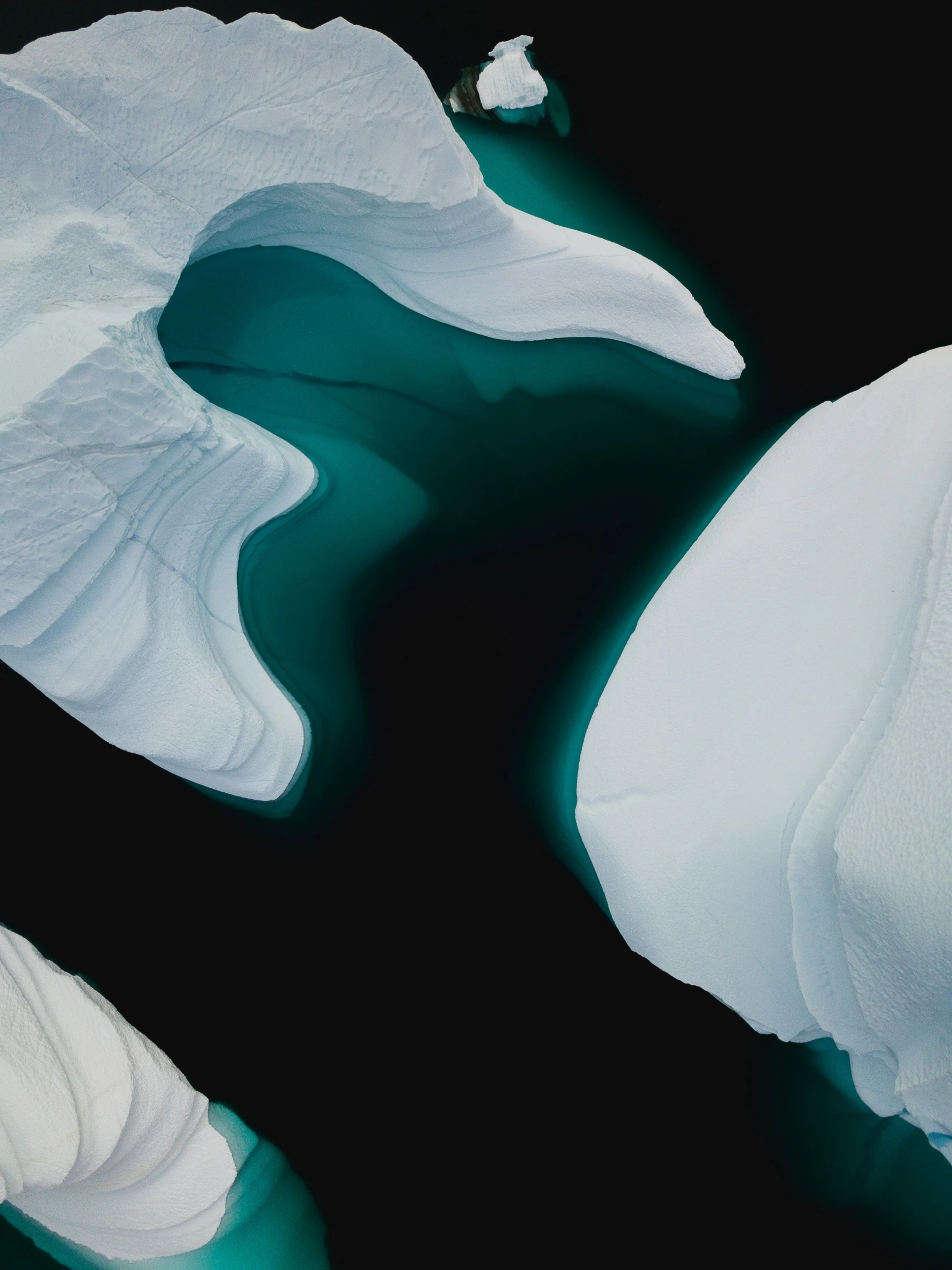 an aerial view of the back end of a large white flower