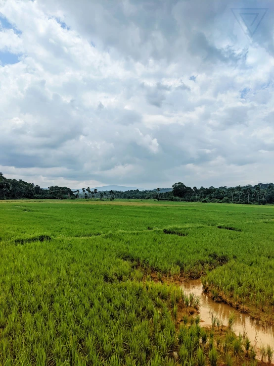 a large grassy field sitting below a cloudy blue sky