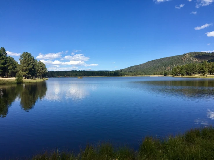 a blue lake with some grass on the shore