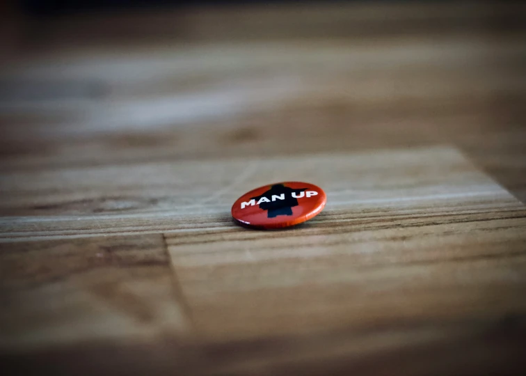 a brown and black on sitting on top of a wooden floor