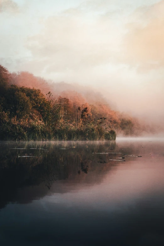 water and trees with fog on them are seen here