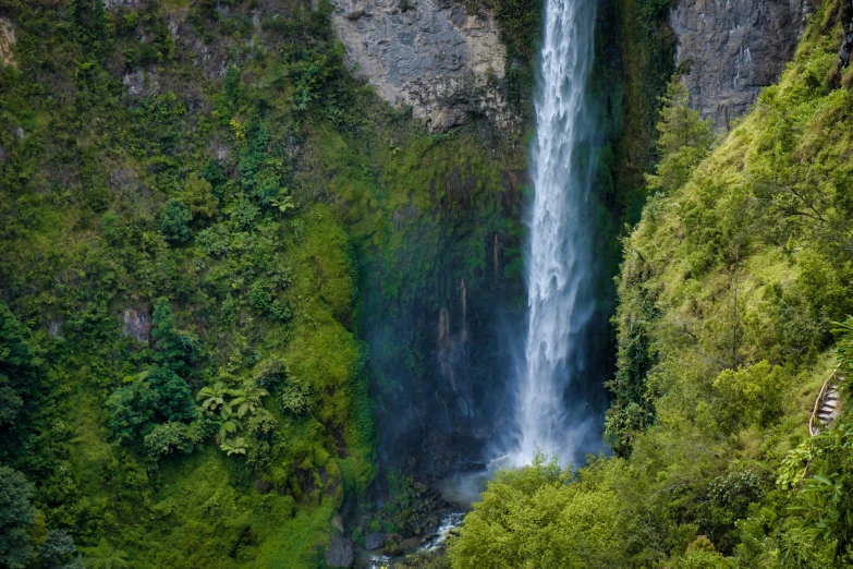 a waterfall surrounded by trees and a lush green hillside