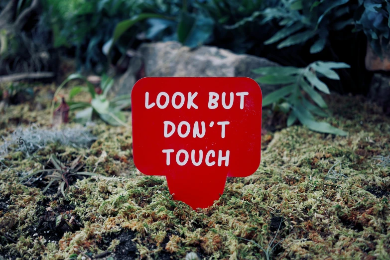 a red sign on the ground saying you don't touch