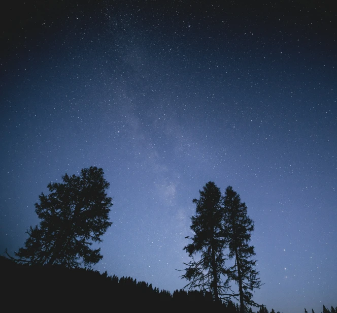 a dark blue sky with some stars and trees in the foreground