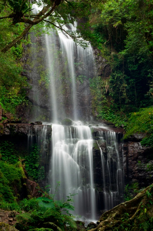 a waterfall surrounded by lush green trees