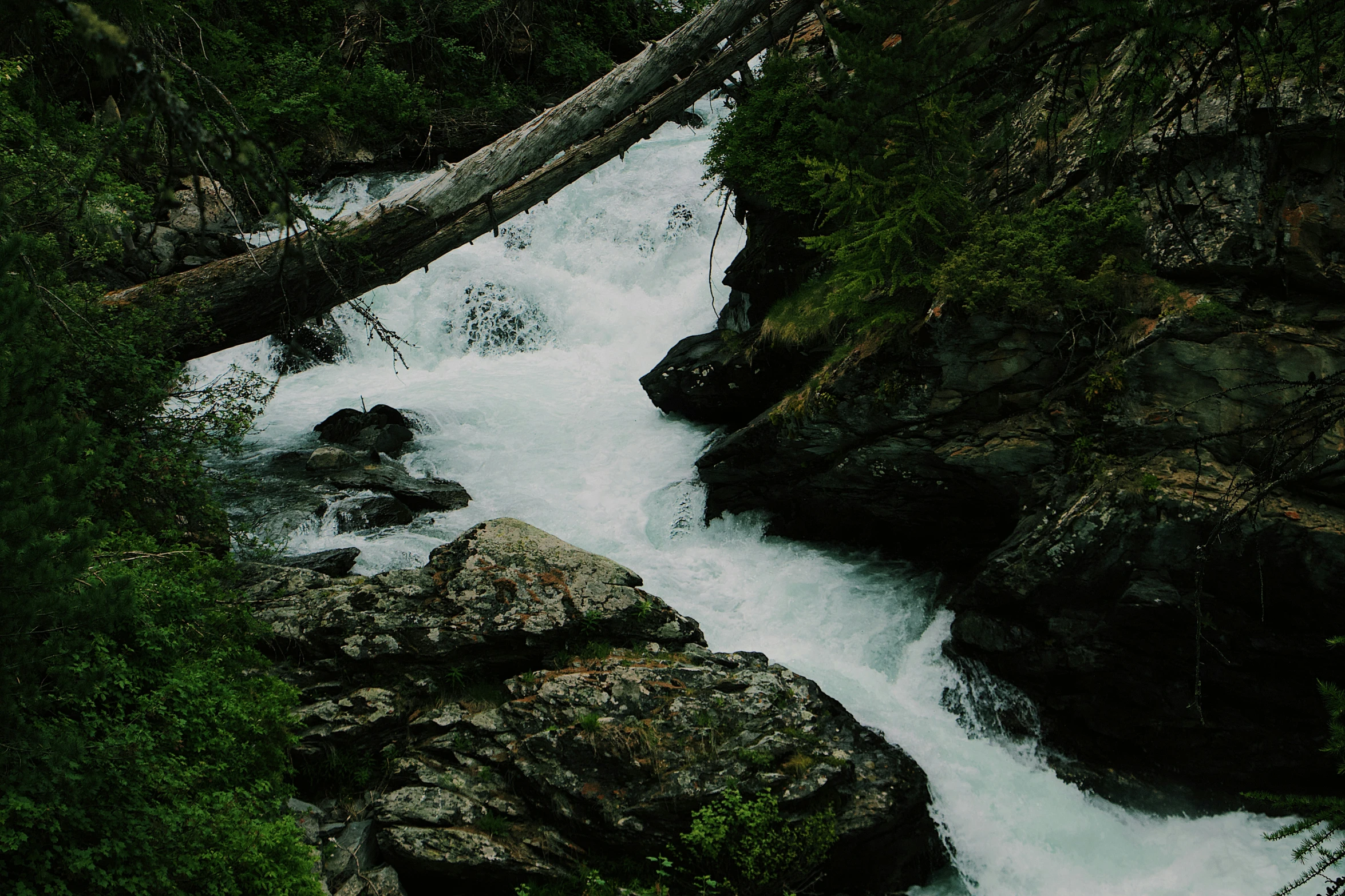 a river flowing between trees and rocks