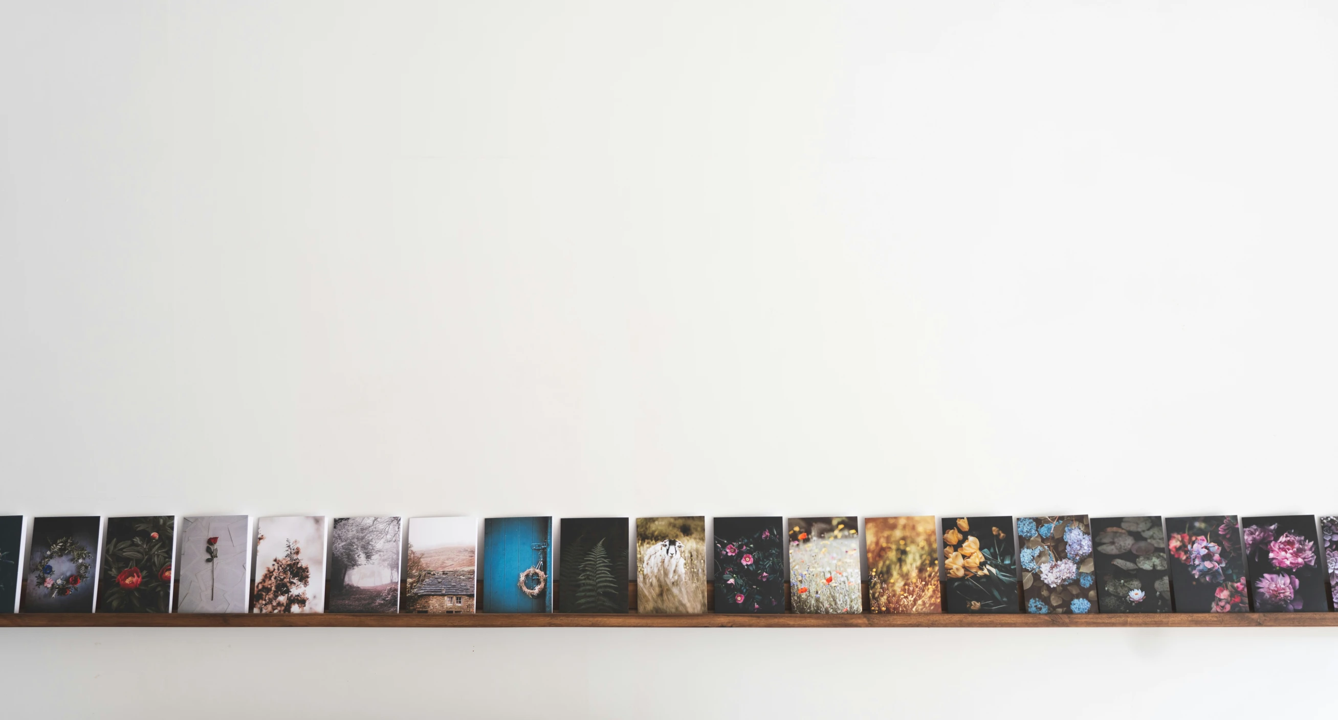 a shelf with a row of cards of various books