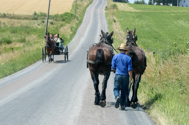 the people are riding on a horse carriage down the road