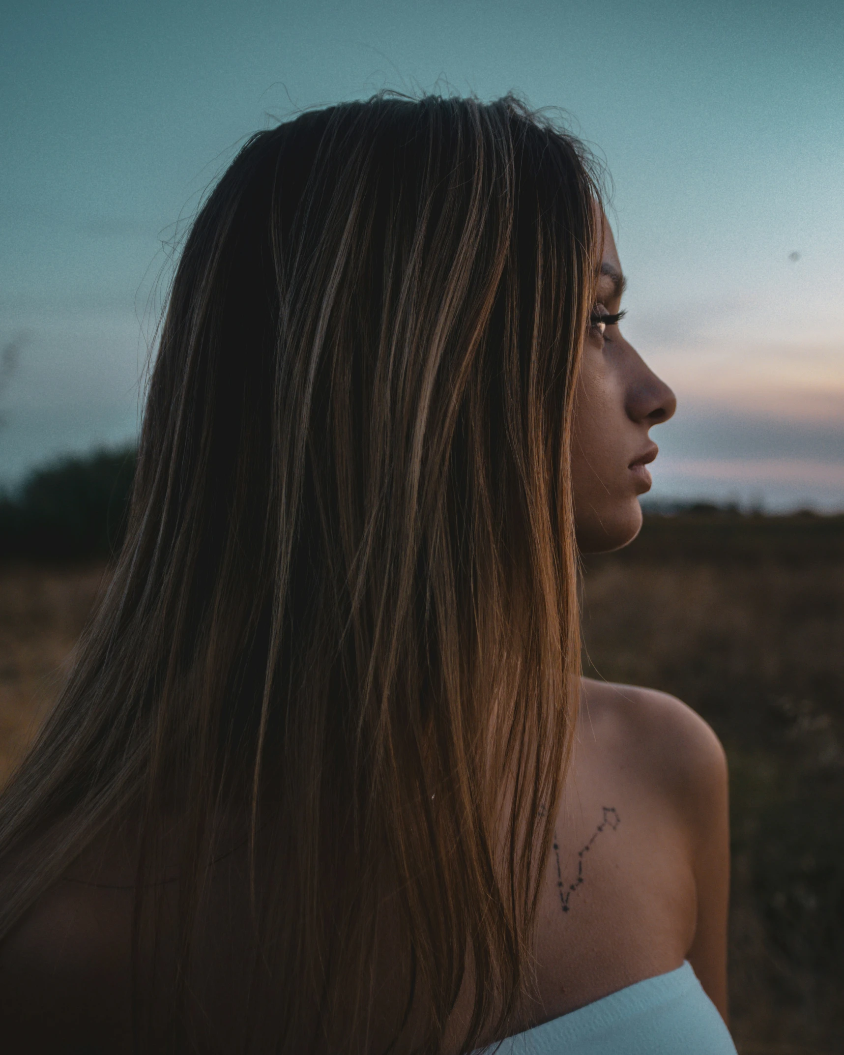 an up close picture of the face of a woman with long hair, standing in front of the sunset, looking away