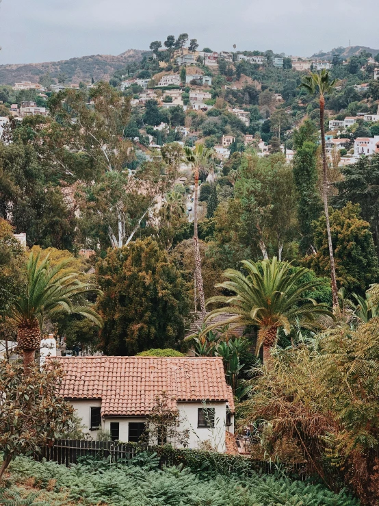 the view of a village surrounded by trees and mountains