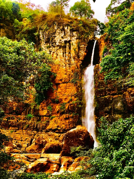 a beautiful falls and trees during the day