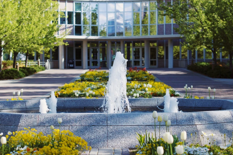 the flowers and trees are in front of a building