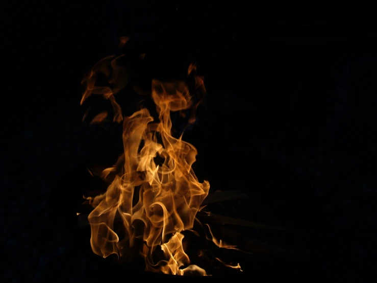 a small bush on fire, lit by the bright sun