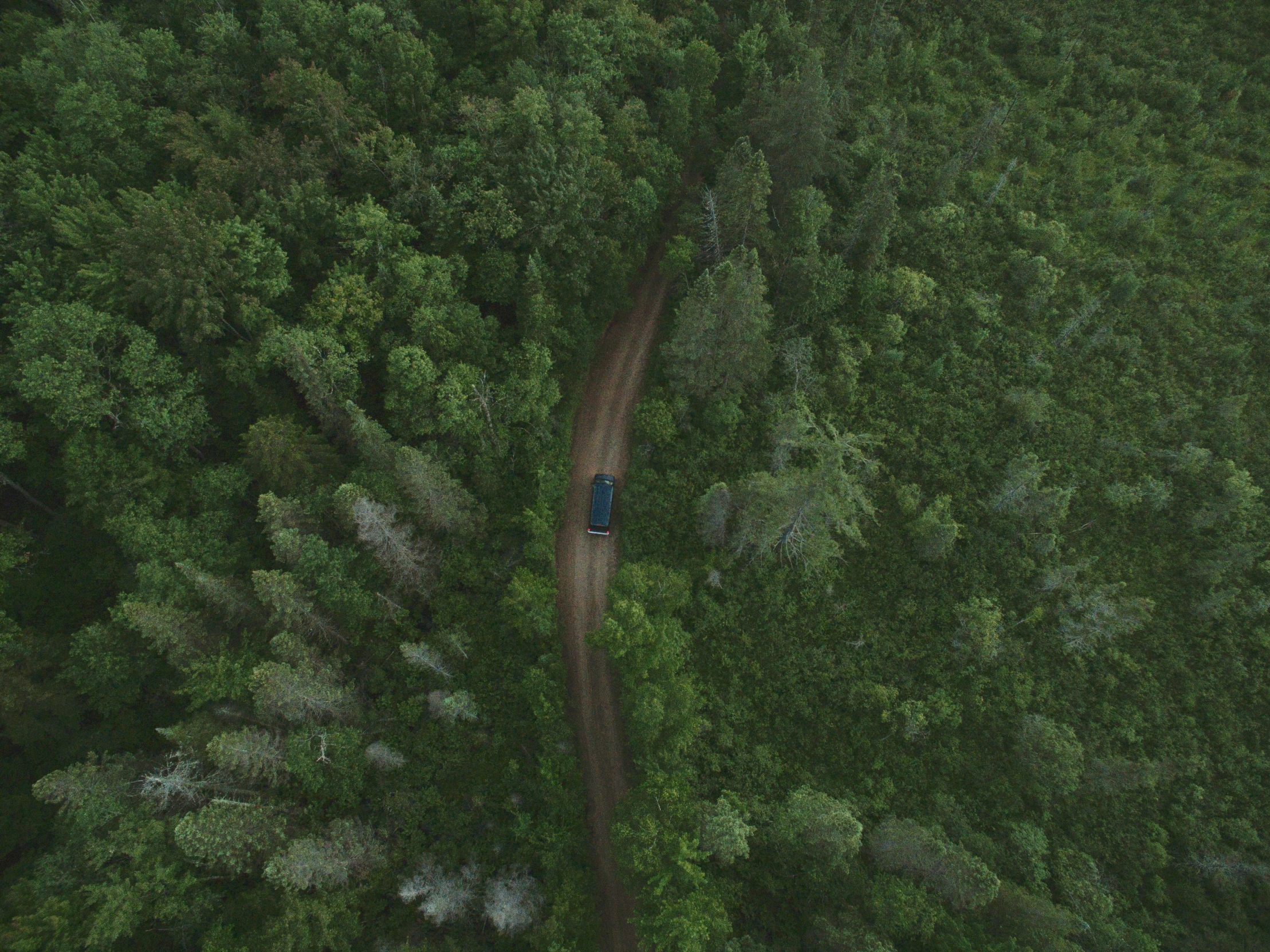 an aerial view of a road in a forest with trees