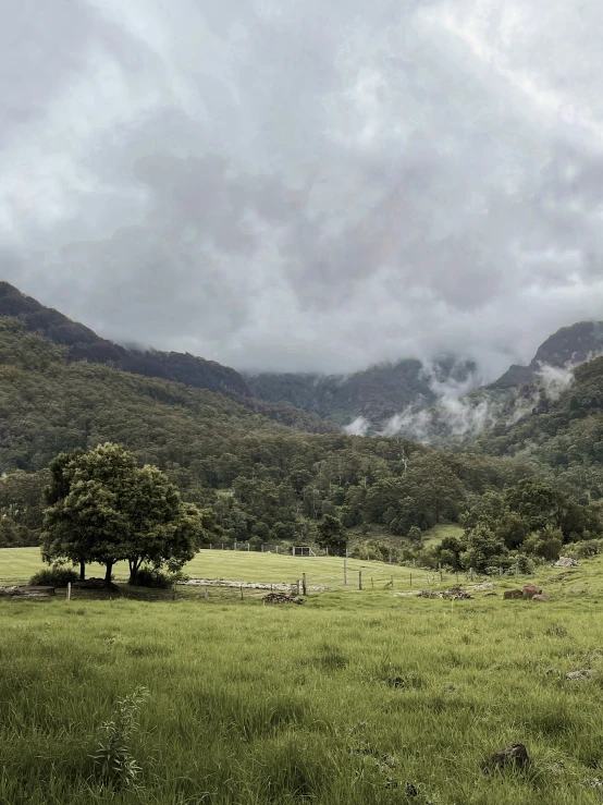 a pasture with mountains in the background