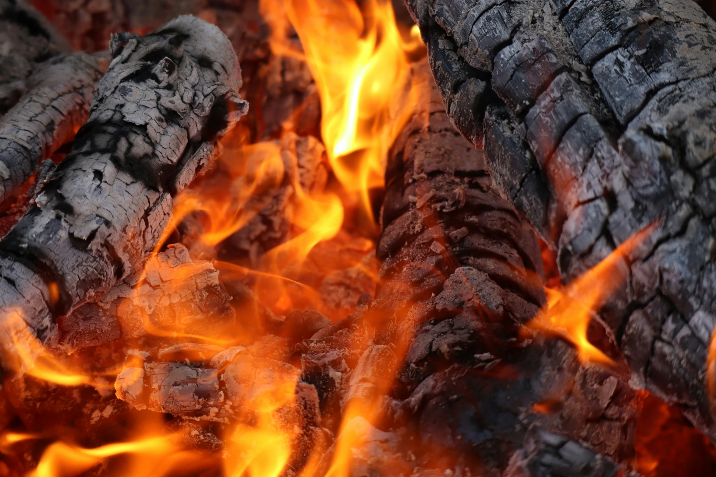 closeup view of the fire burning through it