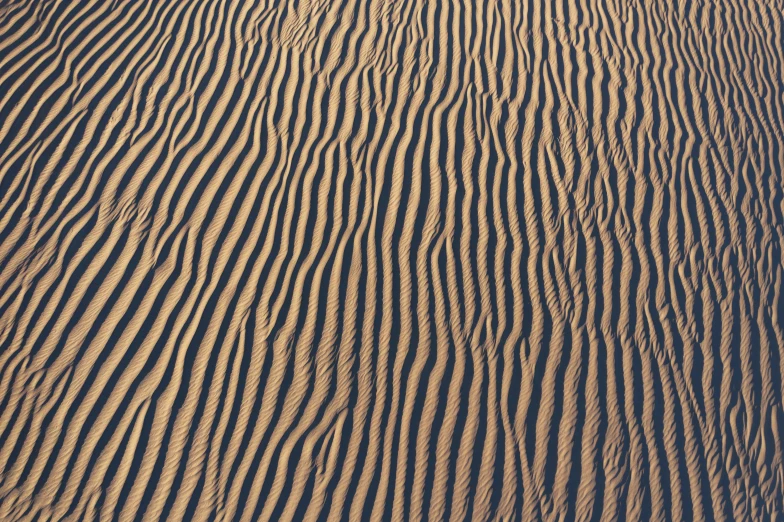 sand dune patterns at the beach