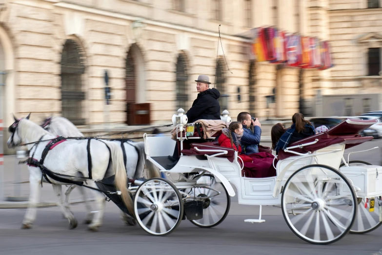 horse and carriage on street next to a building