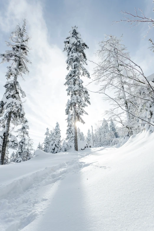 skiers are making their way up the hill to their destination