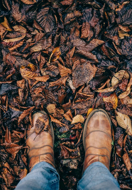 person in blue jeans standing near a pile of brown leaves